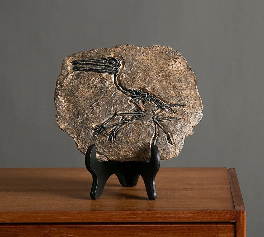 Timeless Charm: Dinosaur Fossil