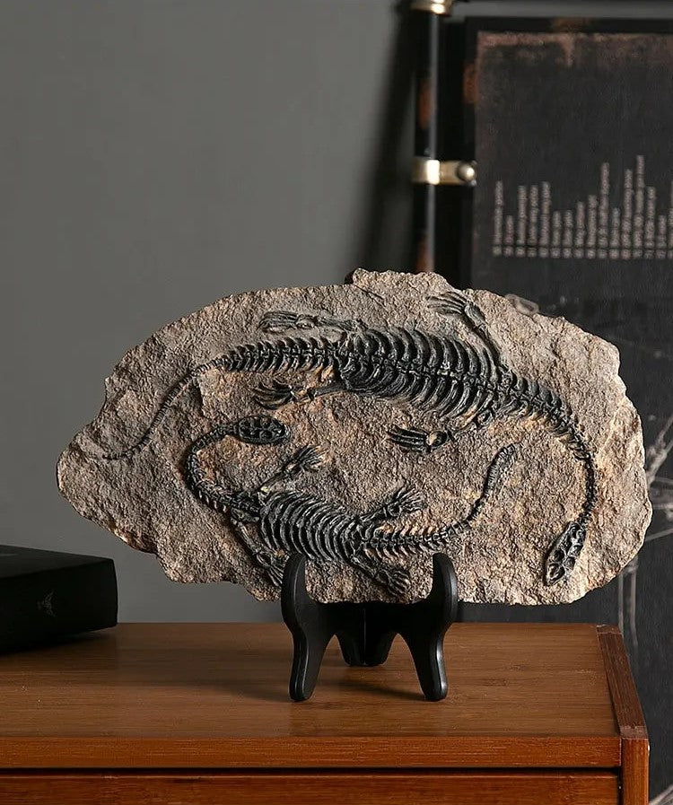 Timeless Charm: Dinosaur Fossil
