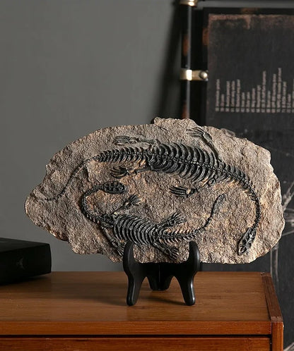Timeless Charm: Dinosaur Fossil