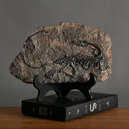 Timeless Charm: Dinosaur Fossil